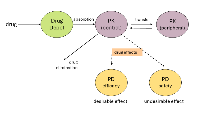 Figure PKPD model
